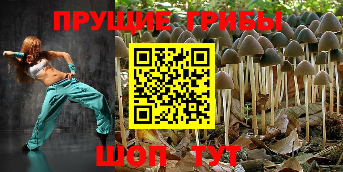 Псилоцибиновые грибы Psilocybe Трёхгорный