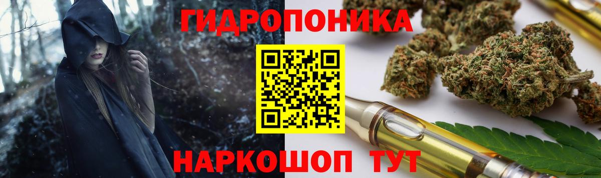Каннабис AK-47  Каннабис OG Kush  Конопля ГИДРОПОН  Каннабис планчик  Трёхгорный  Вход с VPN 